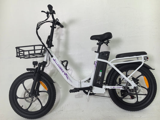 ALLGOBIKE AC20 Electric Bicycle