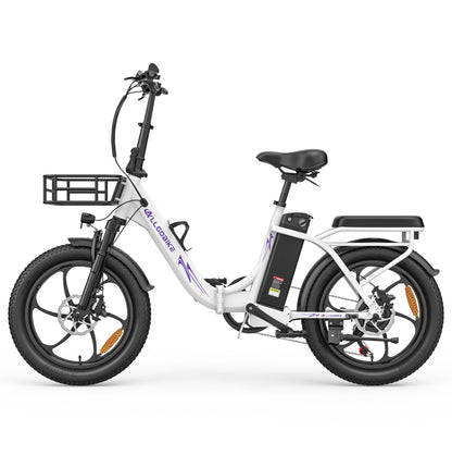 ALLGOBIKE AC20 Electric Bicycle