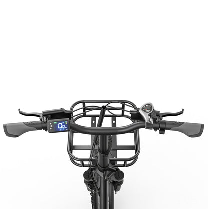 ALLGOBIKE AC20 Electric Bicycle